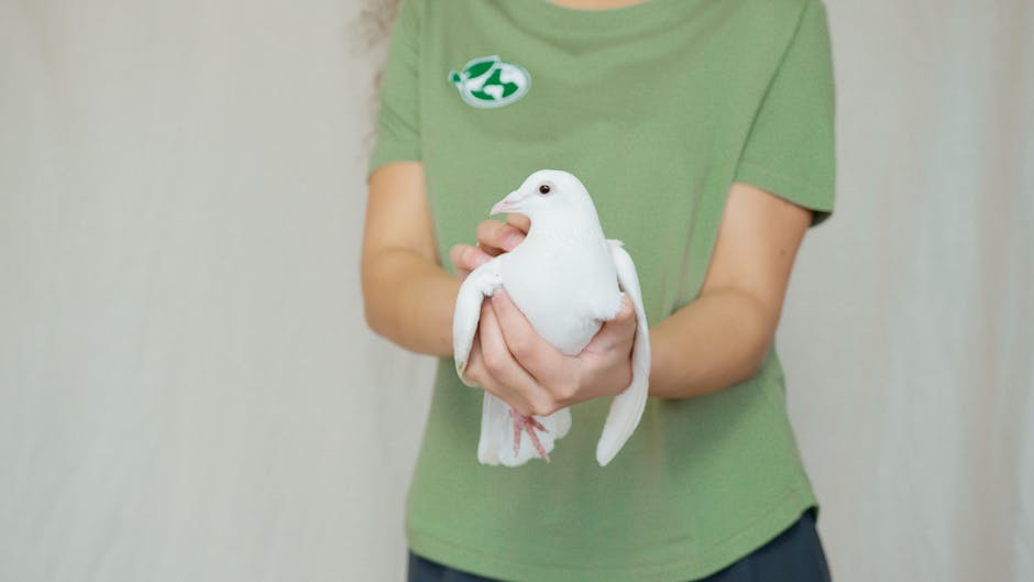 Apoyo verde a favor de Pilar Guzmán en Tamiahua
