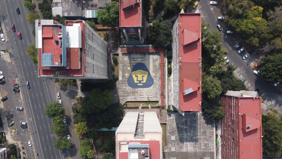 Comunicación Universitaria No Mejora Con Más Boletines Informativos