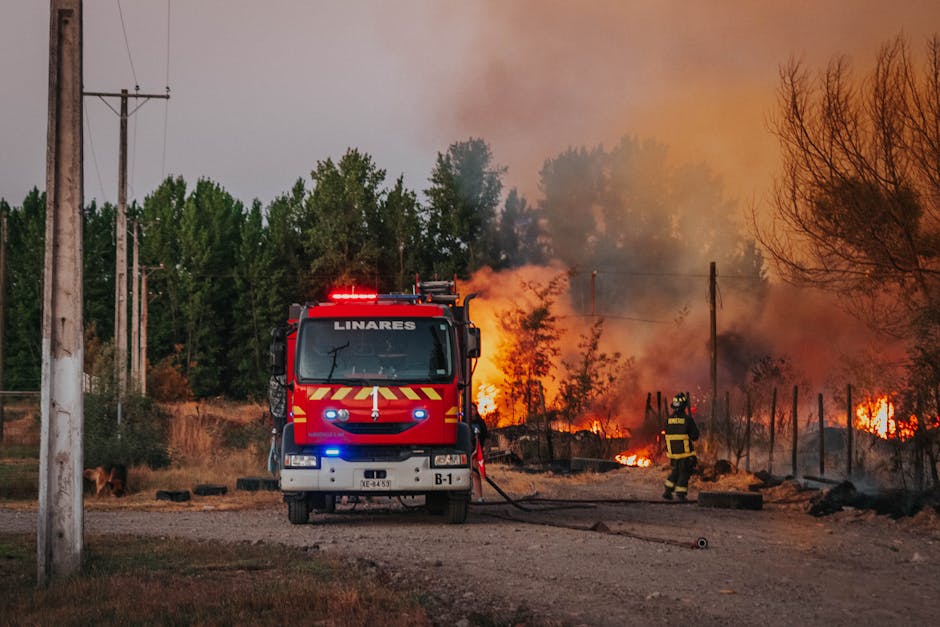 Aprobaron nueve incendios en abril en Xalapa debido a “onda de calor”: Ayuntamiento municipal