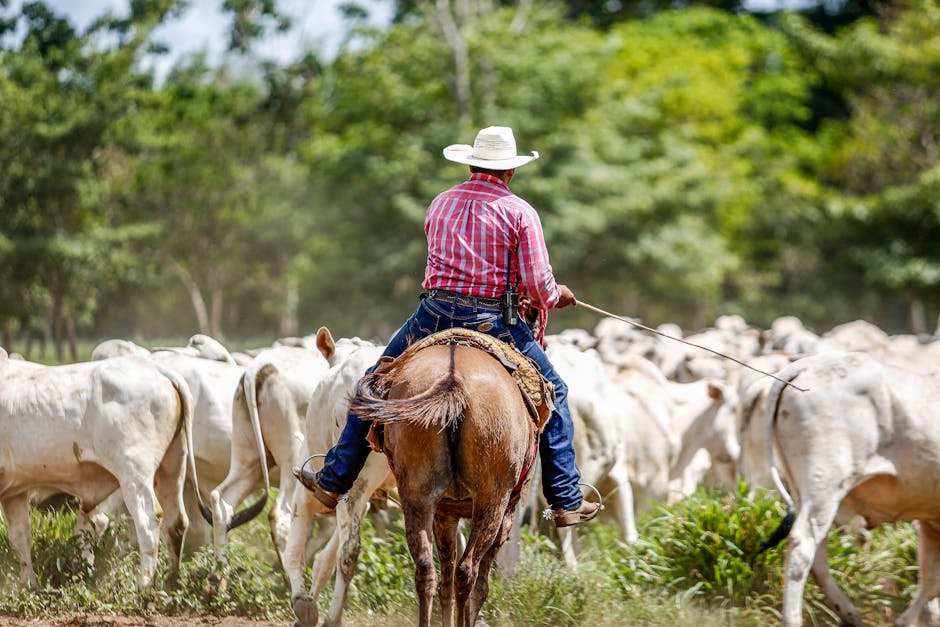UV confirma manejo responsable de recursos