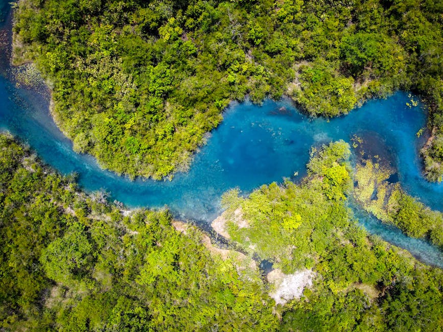 Elemento esencial de la biodiversidad
