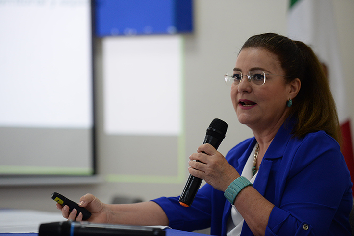 Ana Cecilia Travieso Bello durante su conferencia en el XV Foro Internacional de Estadística Aplicada Datos territorio y decisiones