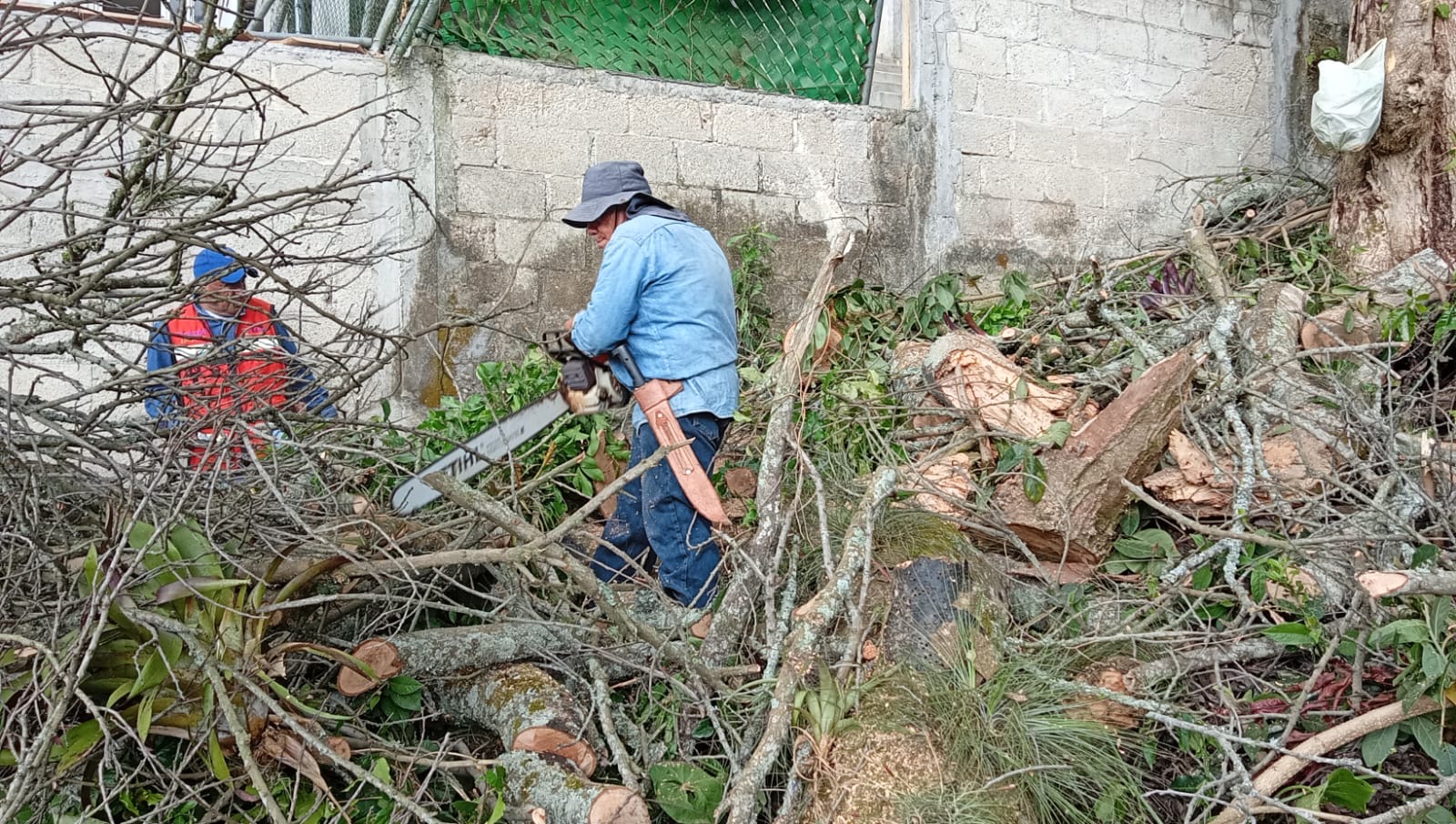 Ayuntamiento de Xalapa responde a afectaciones por lluvias
