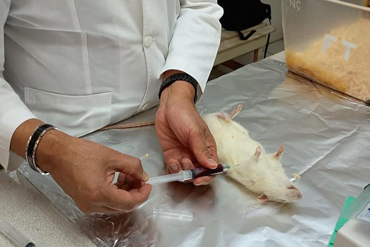 Estudiante UV gana premio nacional por investigación hepatorrenal