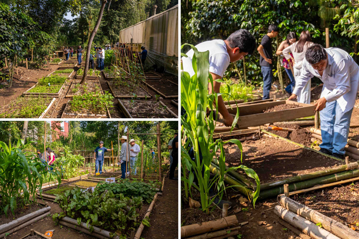 Estudiantes de la UV en el huerto agroecológico del Campus CAD