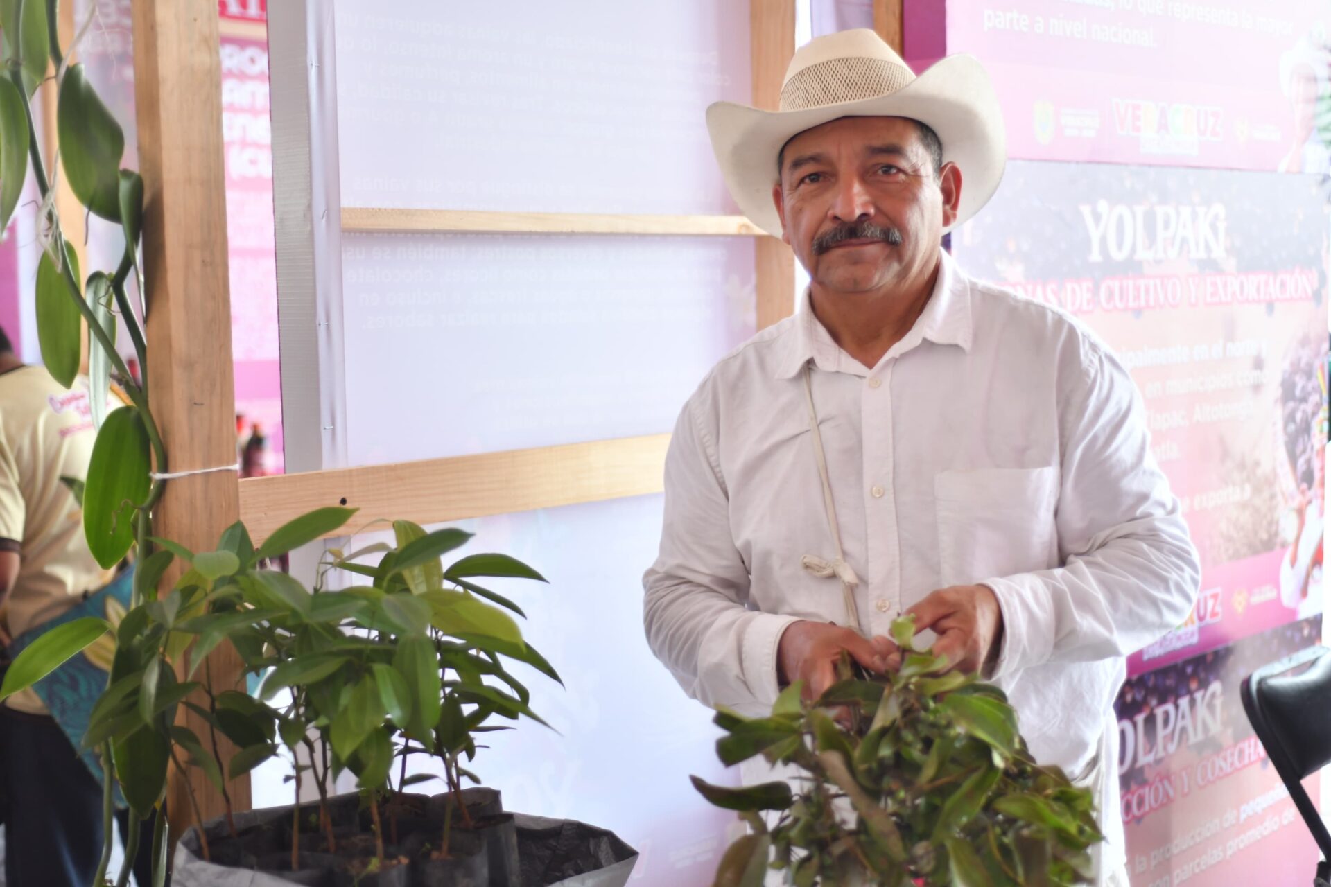 Yolpaki muestra procesos del café, vainilla y especias en Veracruz