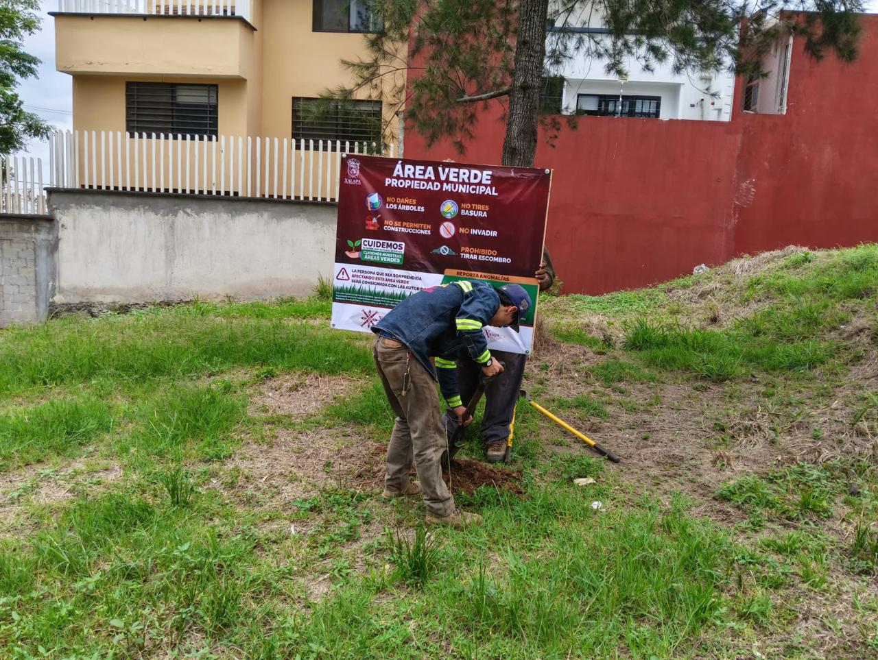 Ayuntamiento de Xalapa rescata área verde en Los Pinos