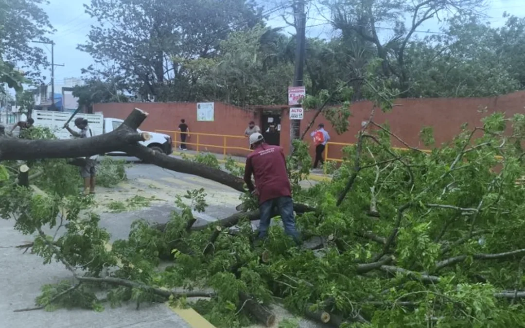 Frío intenso en Veracruz que lleva al balance monetario cero y consecuencias mínimas en la ciudad