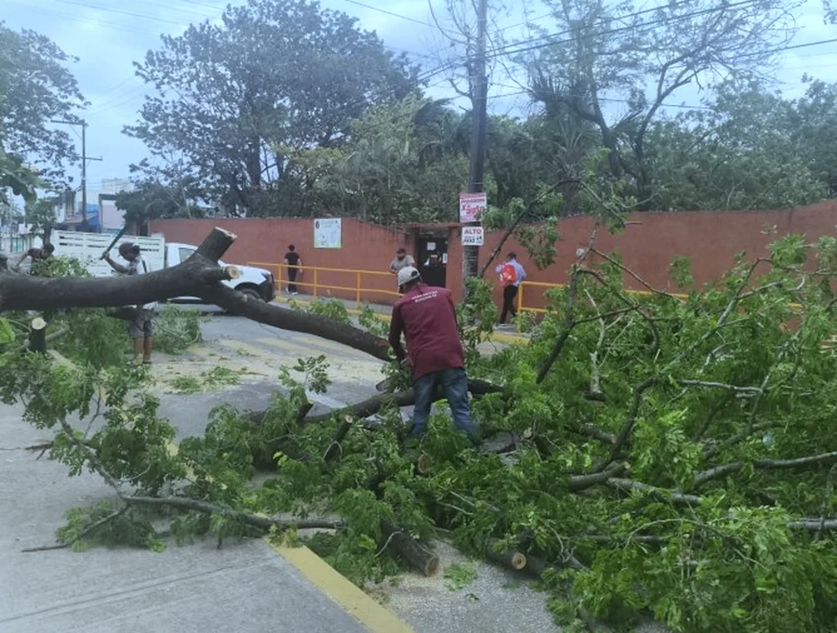Frío intenso en Veracruz que lleva al balance monetario cero y consecuencias mínimas en la ciudad — Hoy Xalapa