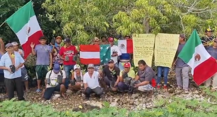 Pescadores de la Fraternidad Tigres en actividades de restauración de manglares