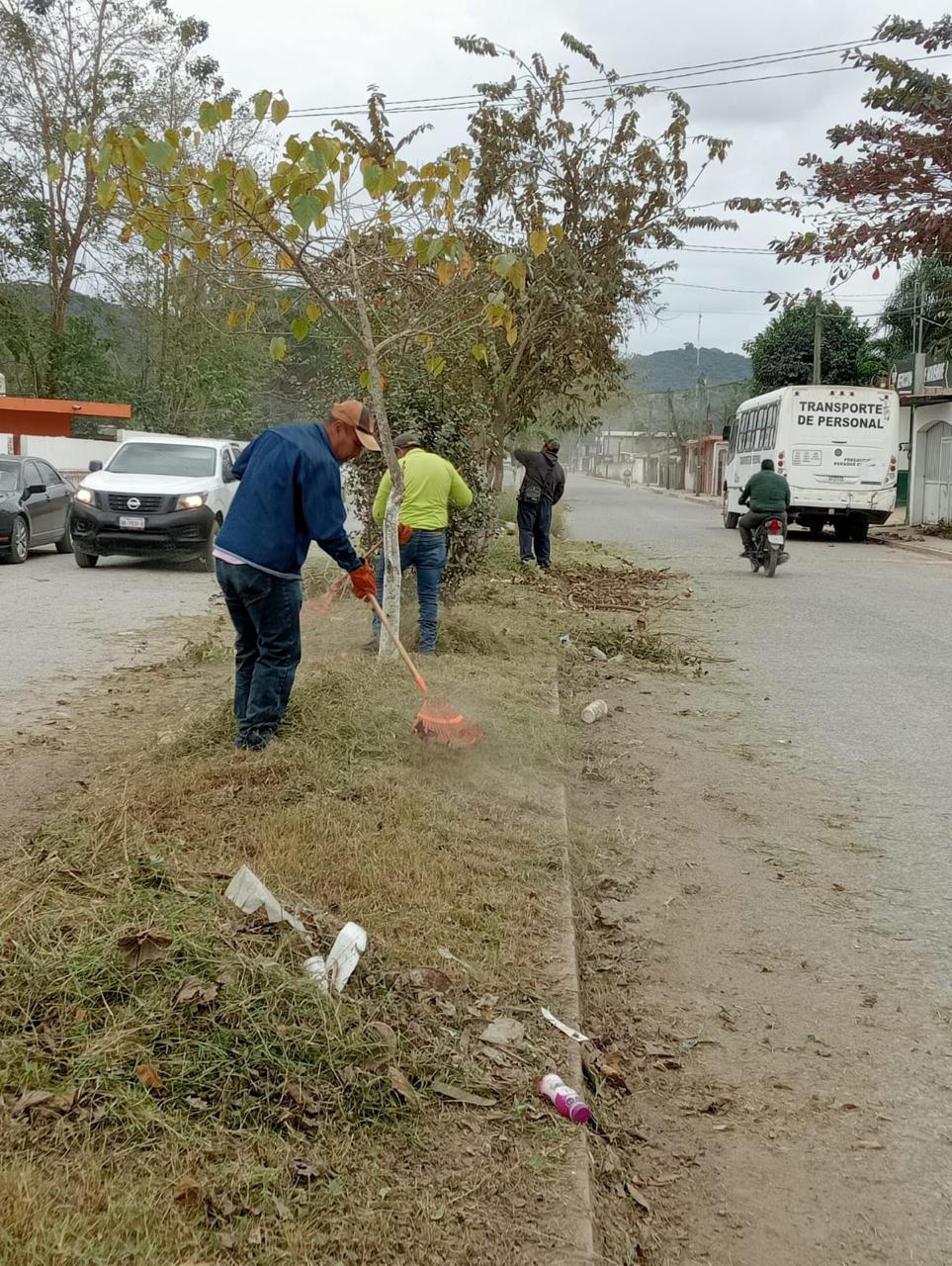 Álamo continúa trabajos de limpieza y alumbrado público
