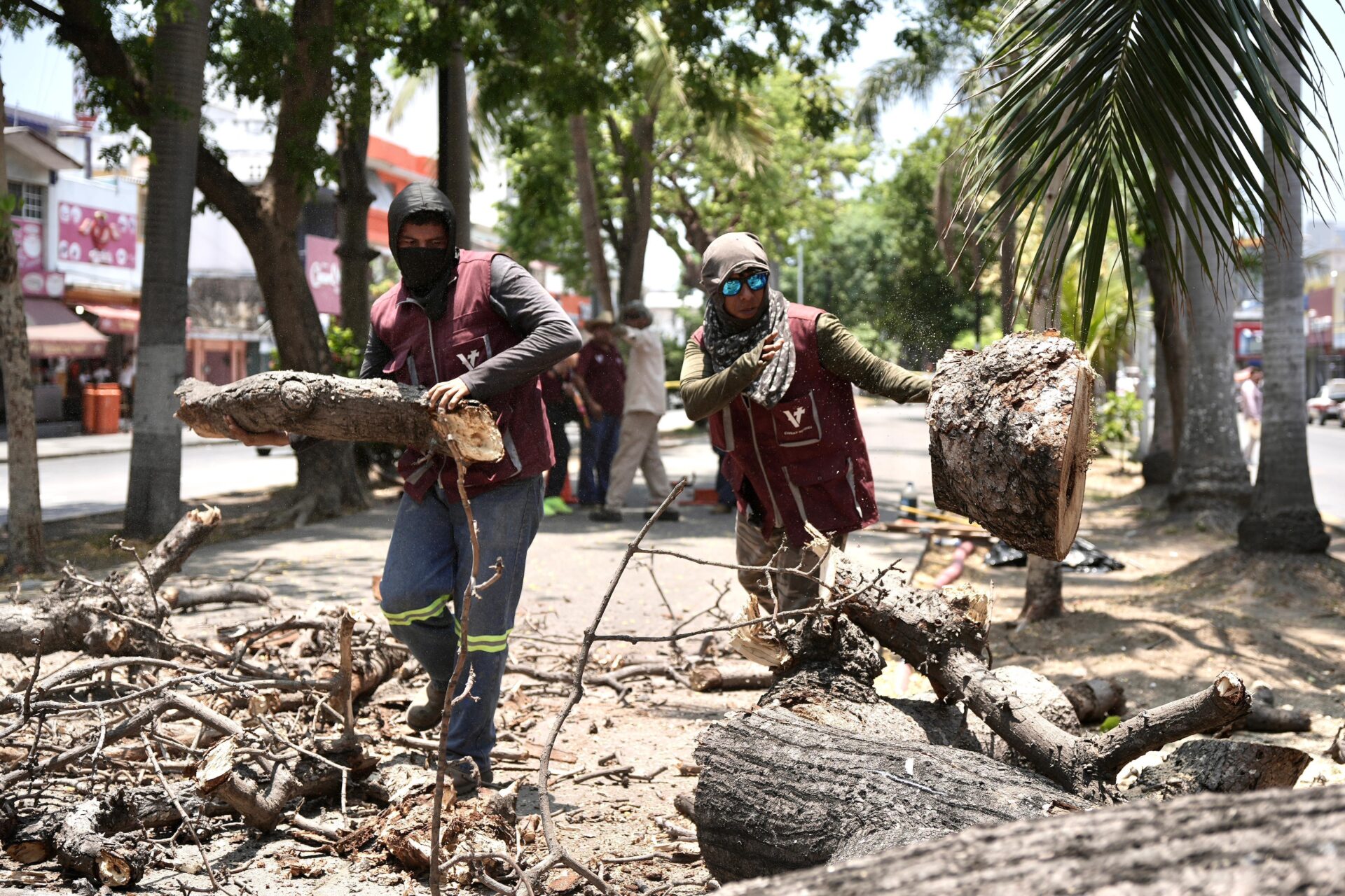 Retiro de un árbol de la especie Ceiba Pentandra en la avenida Salvador Díaz Mirón en Veracruz