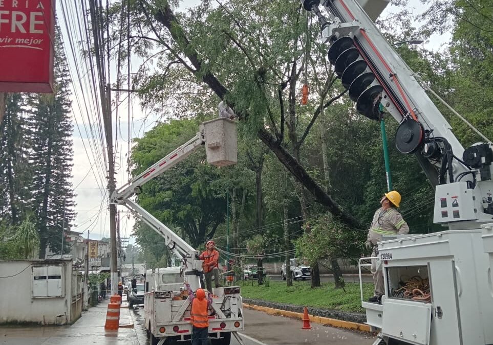 Ayuntamiento de Xalapa responde a afectaciones por lluvias