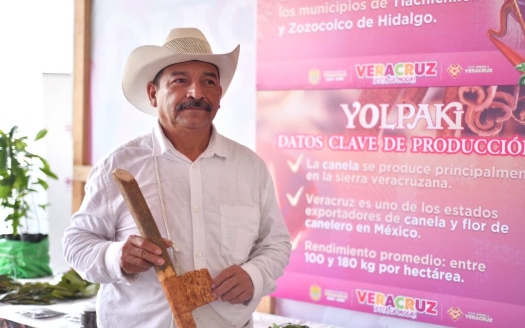 Yolpaki muestra procesos del café, vainilla y especias en Veracruz