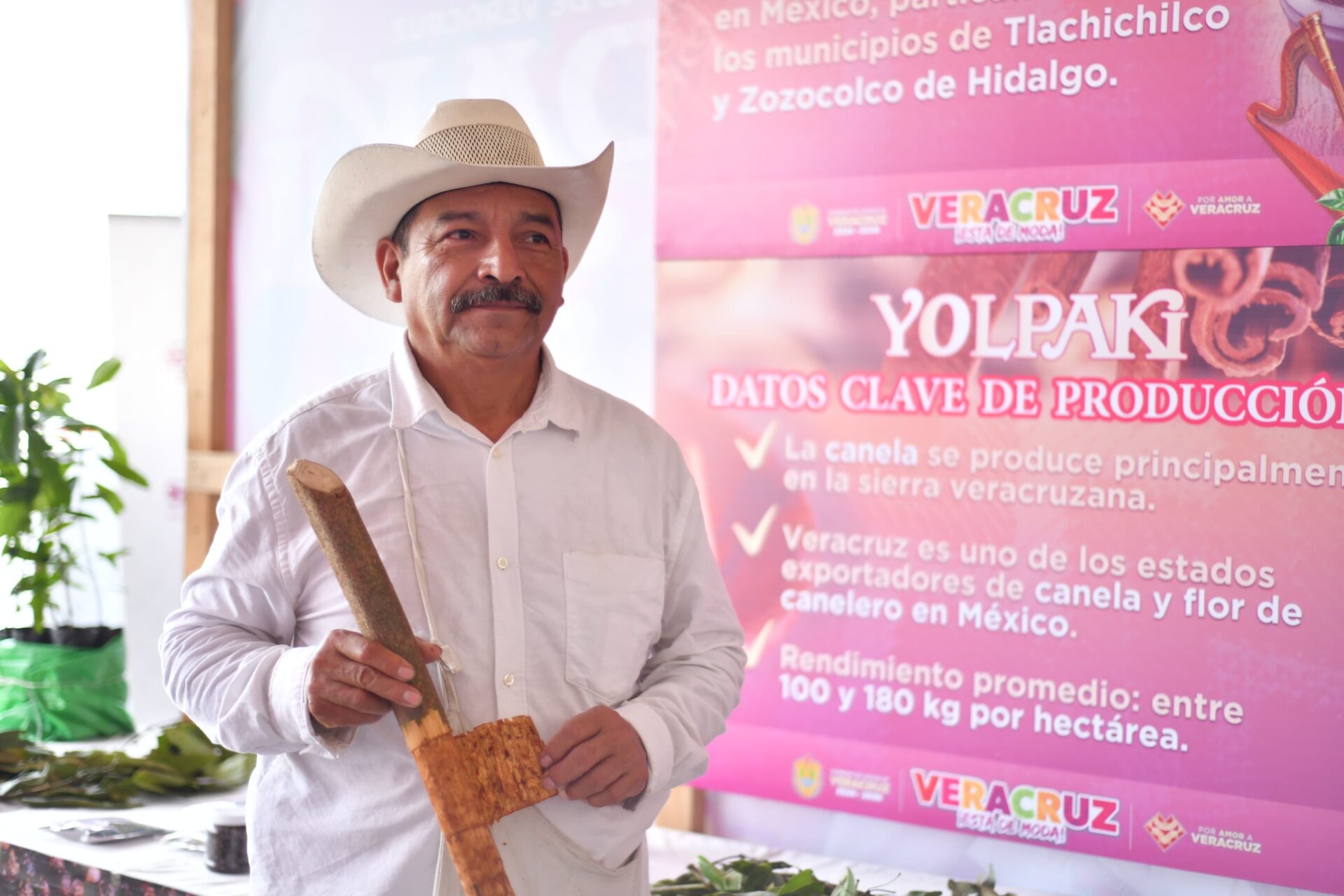 Productores de café, vainilla y especias comparten procesos en Yolpaki
