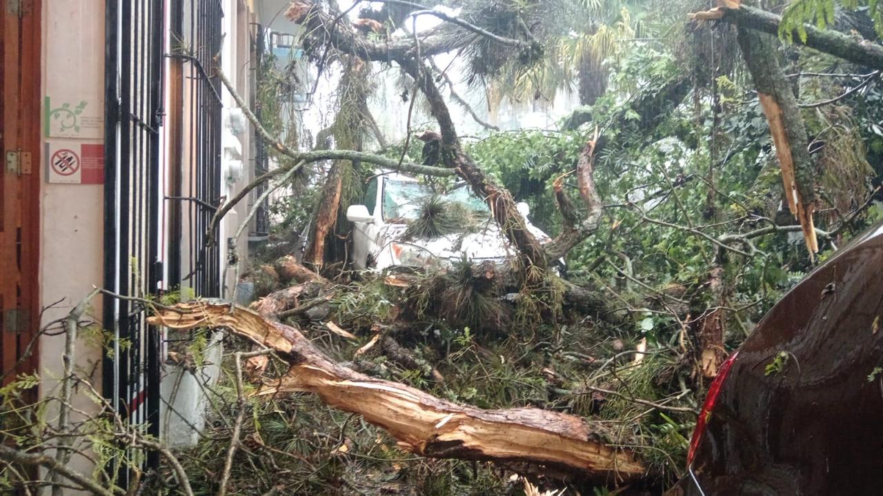 Daniela Griego supervisa atención a afectados por lluvias en Xalapa