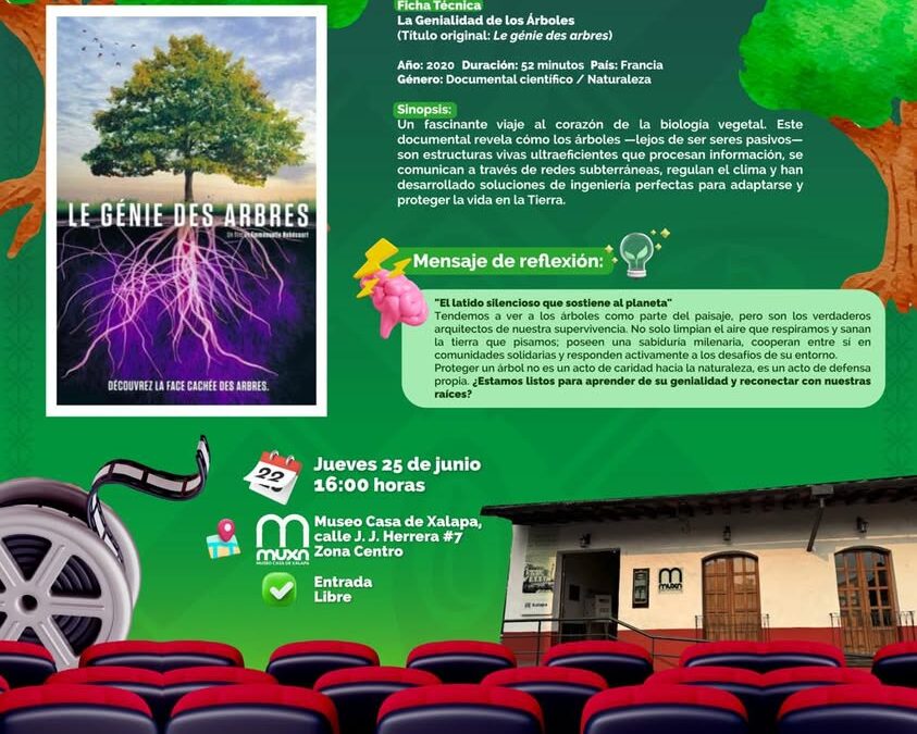 Museo Casa de Xalapa proyectará documental ‘La Genialidad de los Árboles’