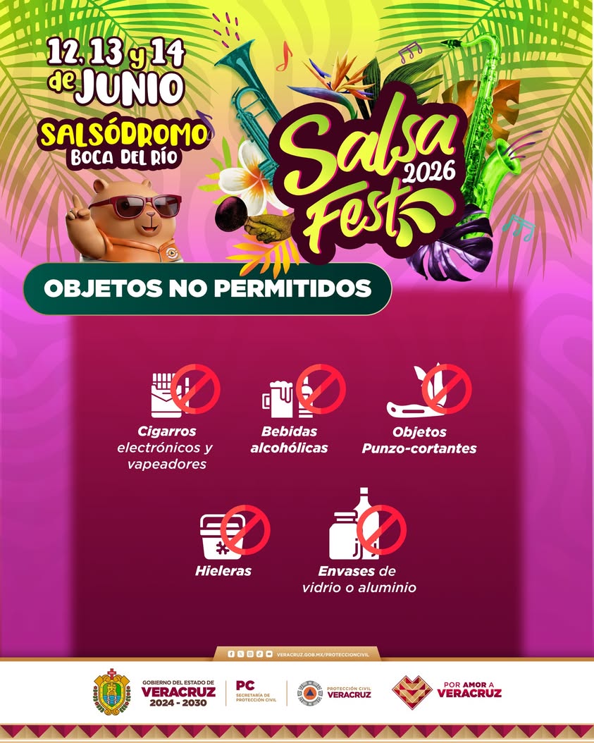Recomendaciones de Protección Civil para conciertos