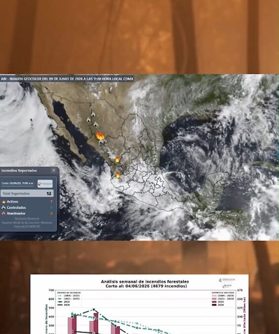 Condiciones meteorológicas propician incendios forestales esta semana