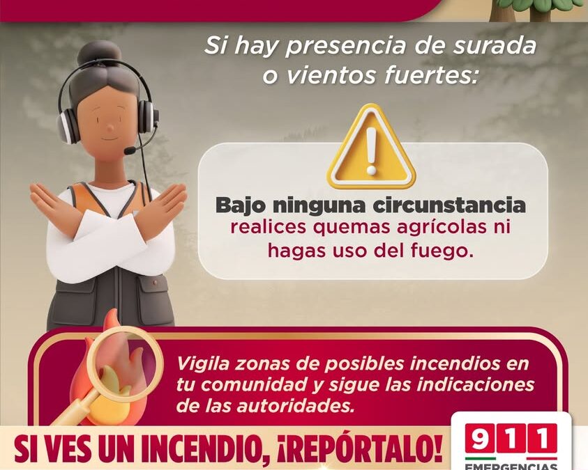 Consecuencias legales por provocar incendios en Veracruz