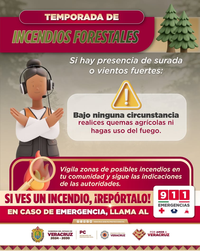 Consecuencias legales por provocar incendios en Veracruz