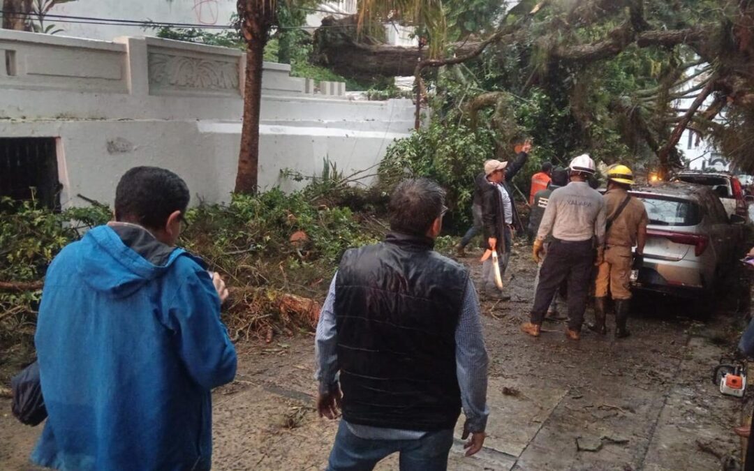 Daniela Griego supervisa atención a afectados por lluvias en Xalapa