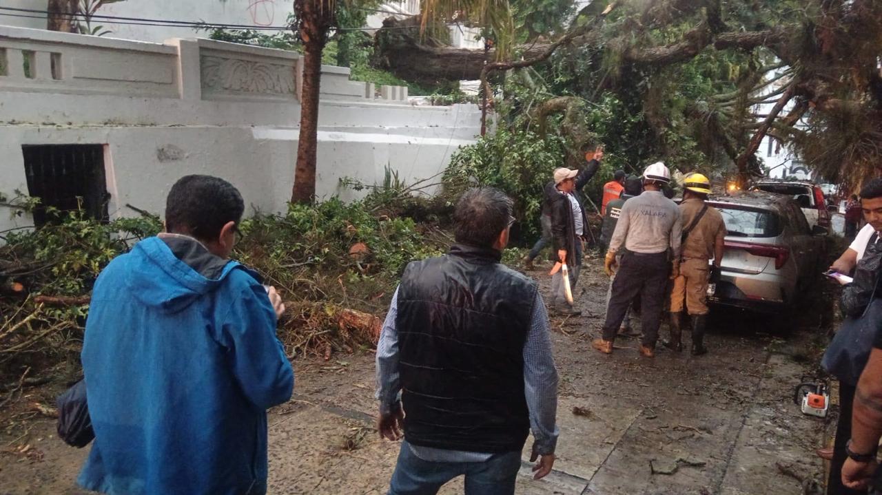 Alcaldesa Daniela Griego supervisa afectaciones por lluvia en la calle Ignacio Allende de Xalapa