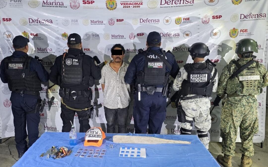 Desarticulan cinco células y detienen a 351 en mayo en Veracruz