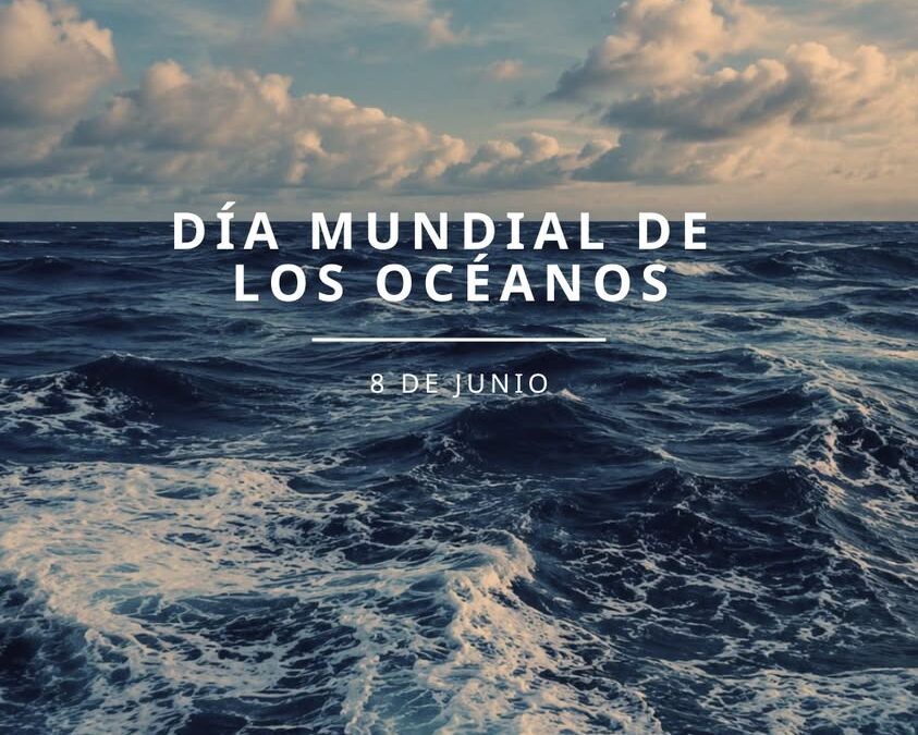 Celebran el Día Mundial de los Océanos con llamado a reducir plásticos