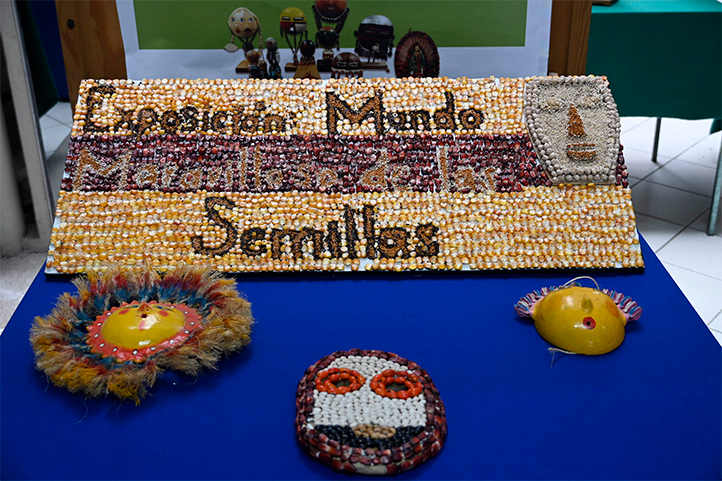 Exposición Las semillas: una expresión biológica, cultural y artesanal en el vestíbulo de la USBI de la UV durante el XIV Congreso Mexicano de Etnobiología