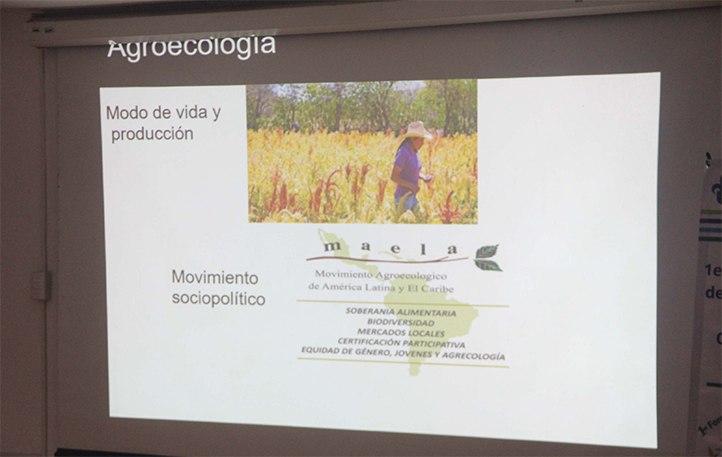 Agroecología, clave para seguridad alimentaria y conservación territorial