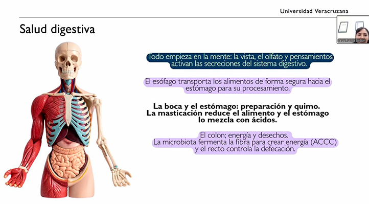 Hábitos sencillos para evitar gastritis, colitis y estreñimiento
