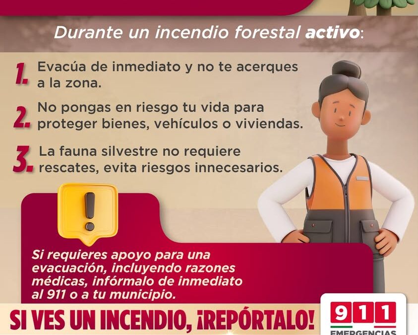 Protección Civil emite recomendaciones ante incendios activos