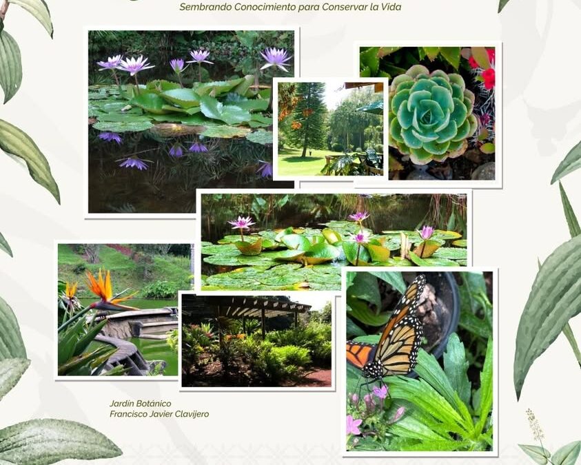 Xalapa celebra el Día Nacional de los Jardines Botánicos