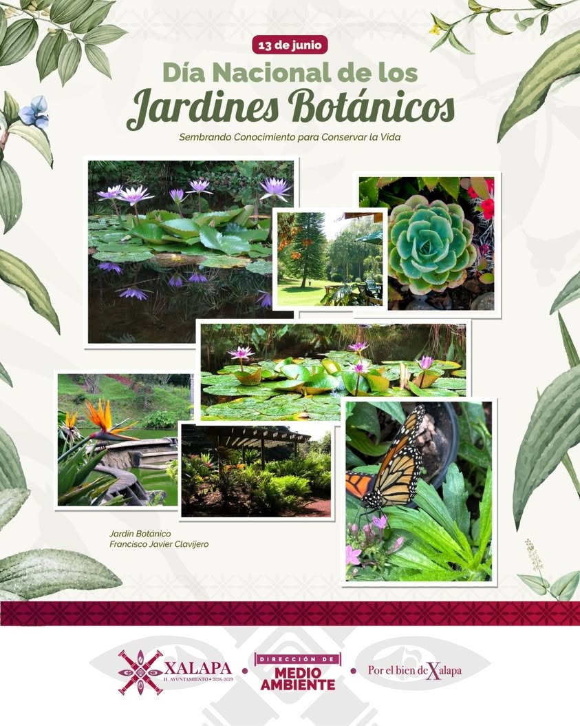 Jardín Botánico Francisco Javier Clavijero en Xalapa