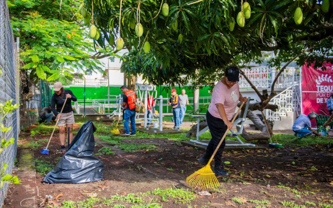 Jornada de Tequio en San Antonio Paso del Toro fortalece comunidades