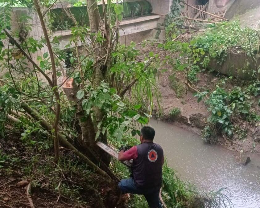 Desazolve en arroyo Papas para prevenir inundaciones en Xalapa