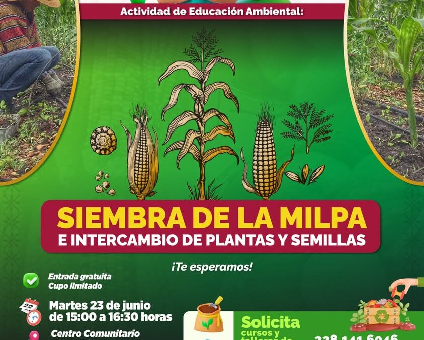 Invitan a conocer la milpa y participar en intercambio de plantas en Xalapa