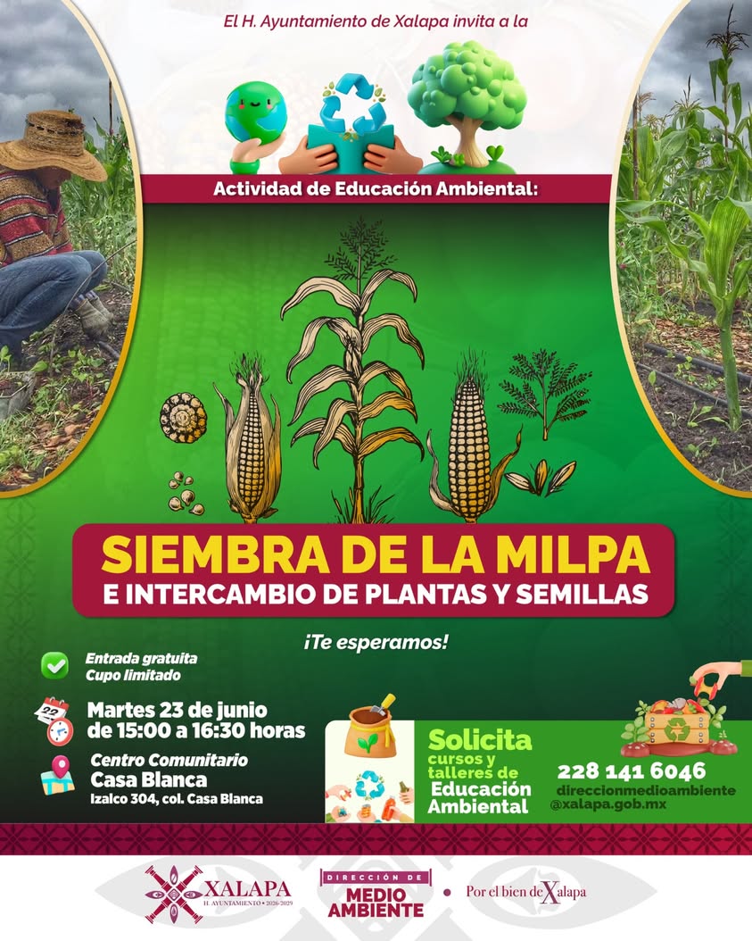 Milpa en el Centro Comunitario Casa Blanca en Xalapa