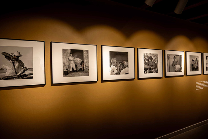 UV presenta exposición de Mariana Yampolsky en Galería Ramón Alva de la Canal