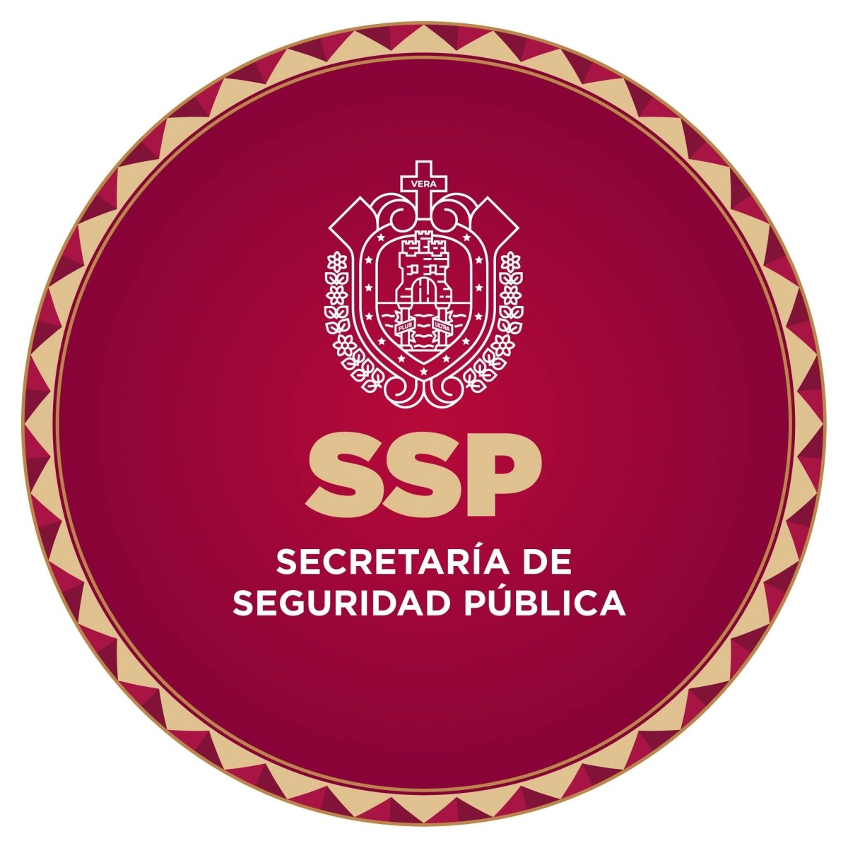 Operativo de búsqueda de comunicadora en Nanchital
