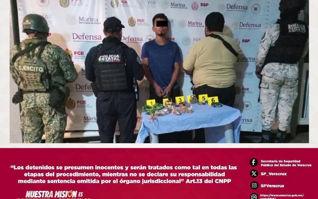 Cateos en Veracruz: 17 detenidos y drogas aseguradas