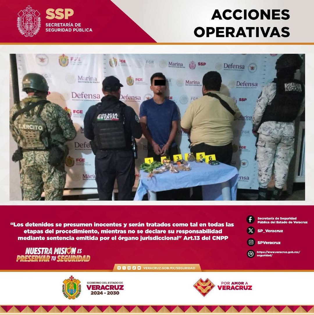 Resultados del operativo de cateos en Veracruz con 17 detenidos y drogas aseguradas