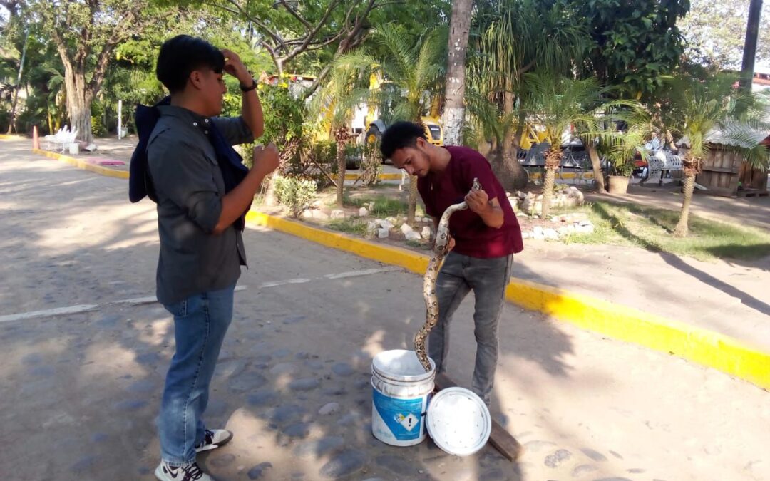 Ayuntamiento de Veracruz atiende fauna en Parque Ecológico
