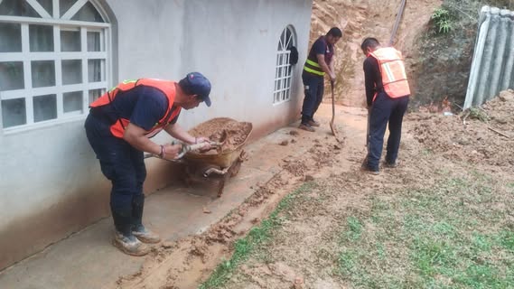 Operativo Plan Tajín en Magdalena, Tequila, retira árboles caídos