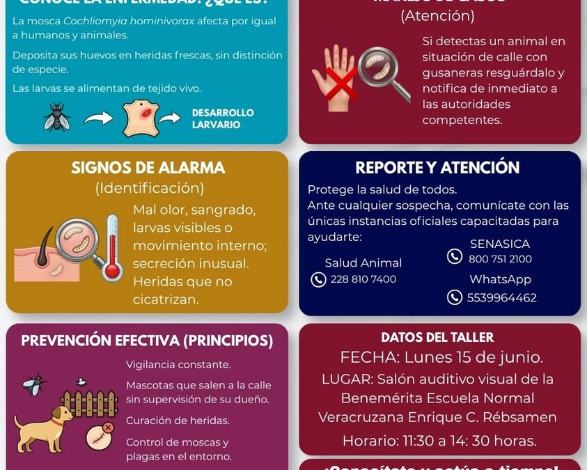 Plática sobre prevención de gusano barrenador en Xalapa