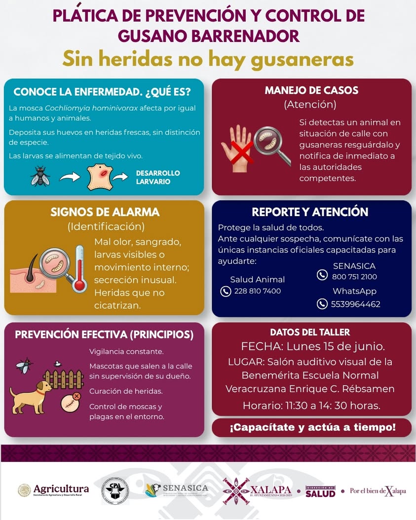 Cartel de la plática sobre prevención de gusano barrenador organizada por el Ayuntamiento de Xalapa