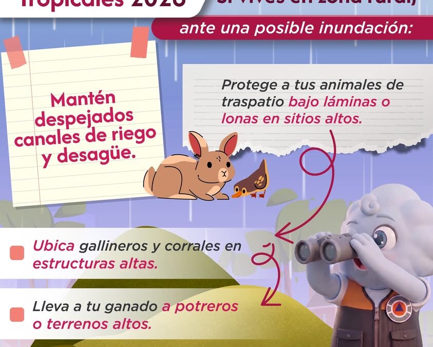 Recomendaciones de Protección Civil para animales en inundaciones