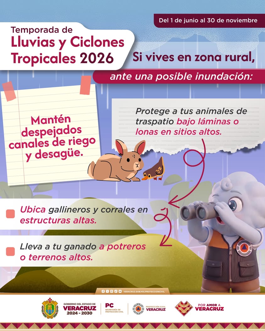 Recomendaciones de Protección Civil para proteger animales en inundaciones rurales