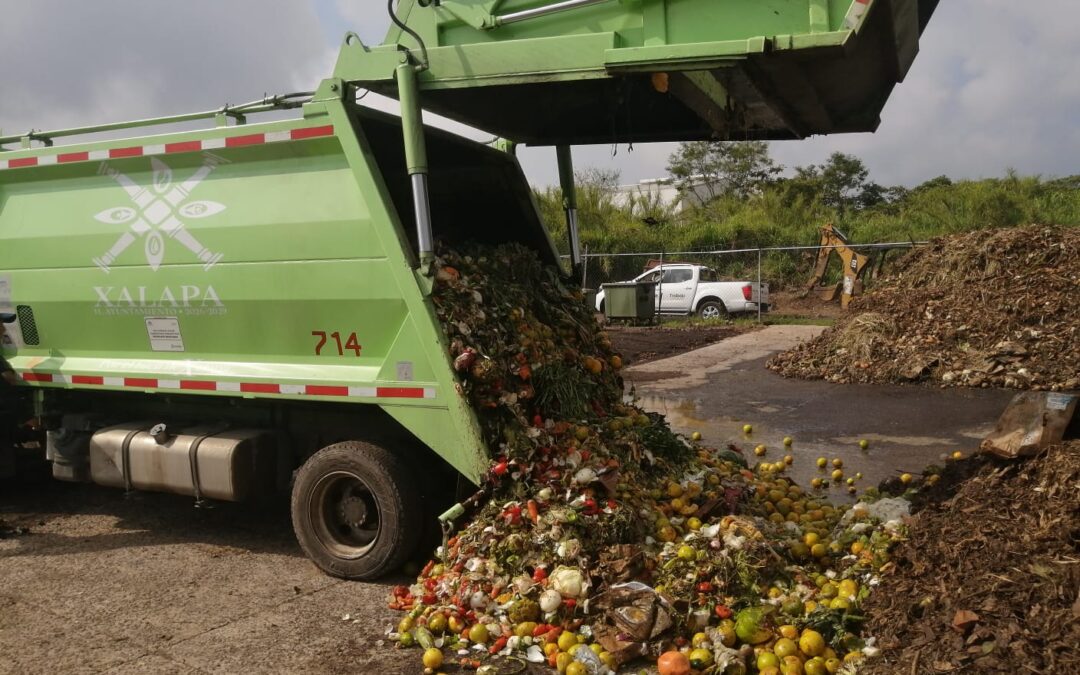Recolección permanente de residuos orgánicos inicia en Central de Abasto de Xalapa